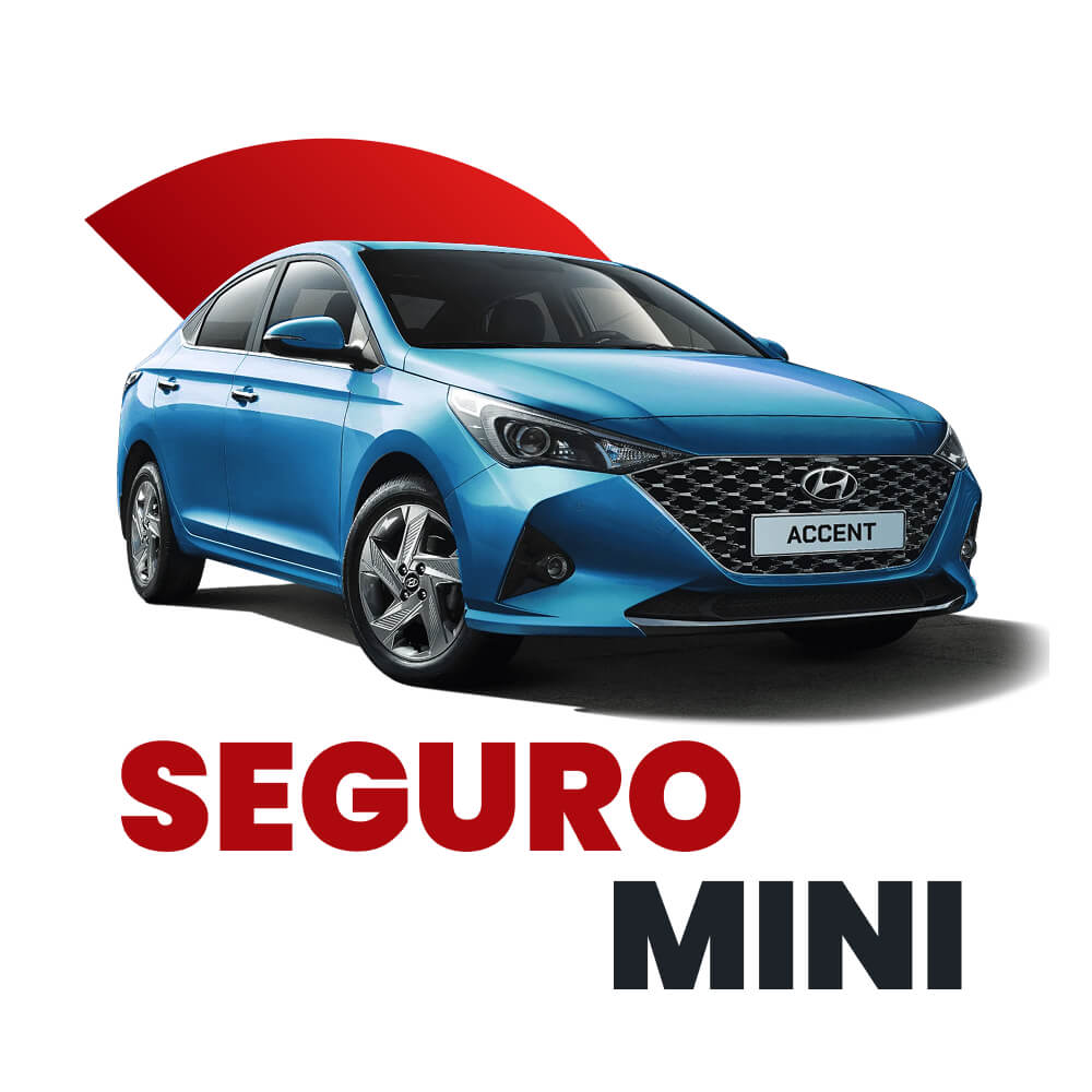 Seguro Mini